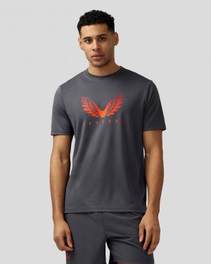 Castore Adapt Short Sleeve Graphic T Shirt Azules | PJTF-81324