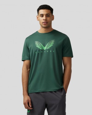 Castore Adapt Short Sleeve Graphic T Shirt Verdes | WLVY-73198