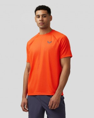 Castore Adapt Short Sleeve Printed T Shirt Naranjas | HDBQ-91863